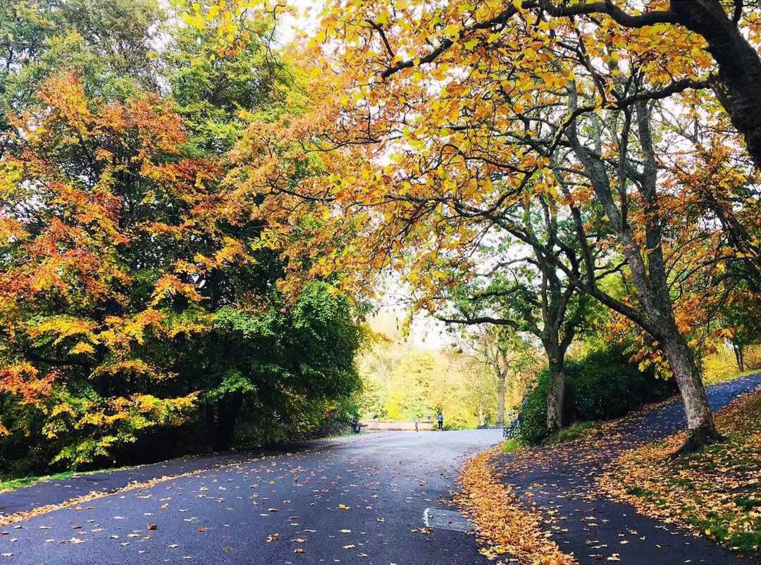 去英国留学是要高中毕业吗,为什么去英国留学要读预科