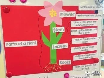 思维导图简单大方,思维导图不容错过