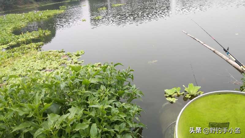 台钓手法,抬竿如何逗钓