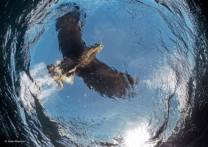 十分钟教你玩转高级感的摄影,都是干货