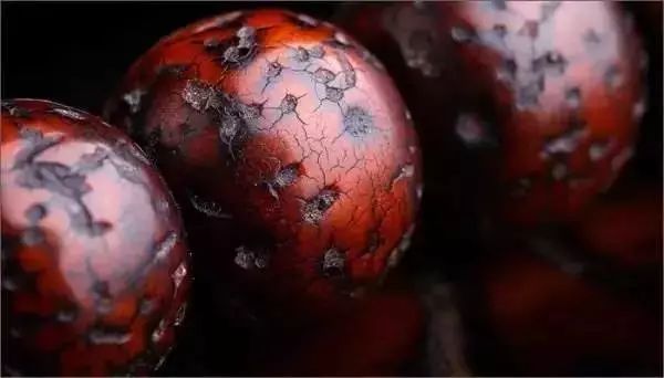 值得盘玩的几种星月,星月各种品种玩出来的区别