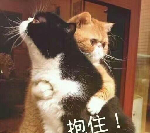 有必要代购日本的产品吗,被吹上天的国货有什么用