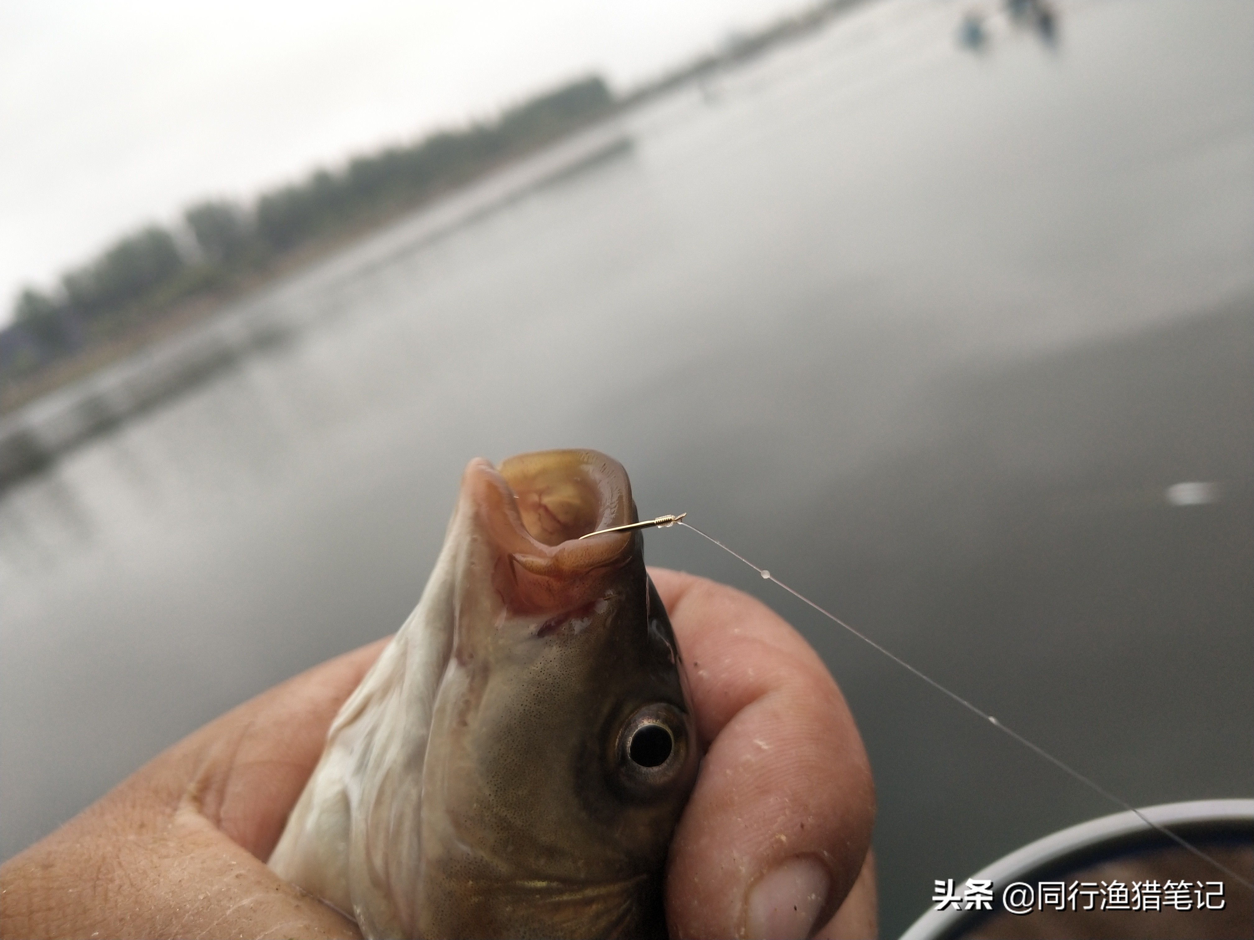 细线钓鱼有什么优势,野钓细线钓鱼技巧