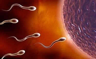 备孕如何抓准排卵期,备孕期该怎么监测排卵