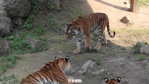 儿童节去儿童乐园,儿童节去公园玩