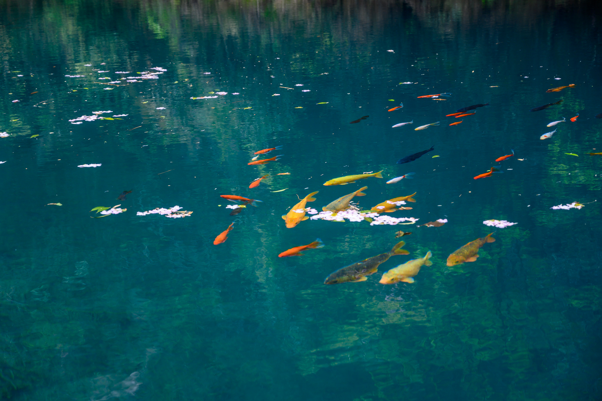 浙江这座宝藏小城,藏着一处山水秘境,史称江南第一名山
