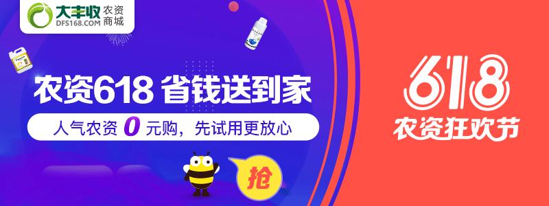 无核柑橘有哪些品种,柑橘目前最新品种有哪些