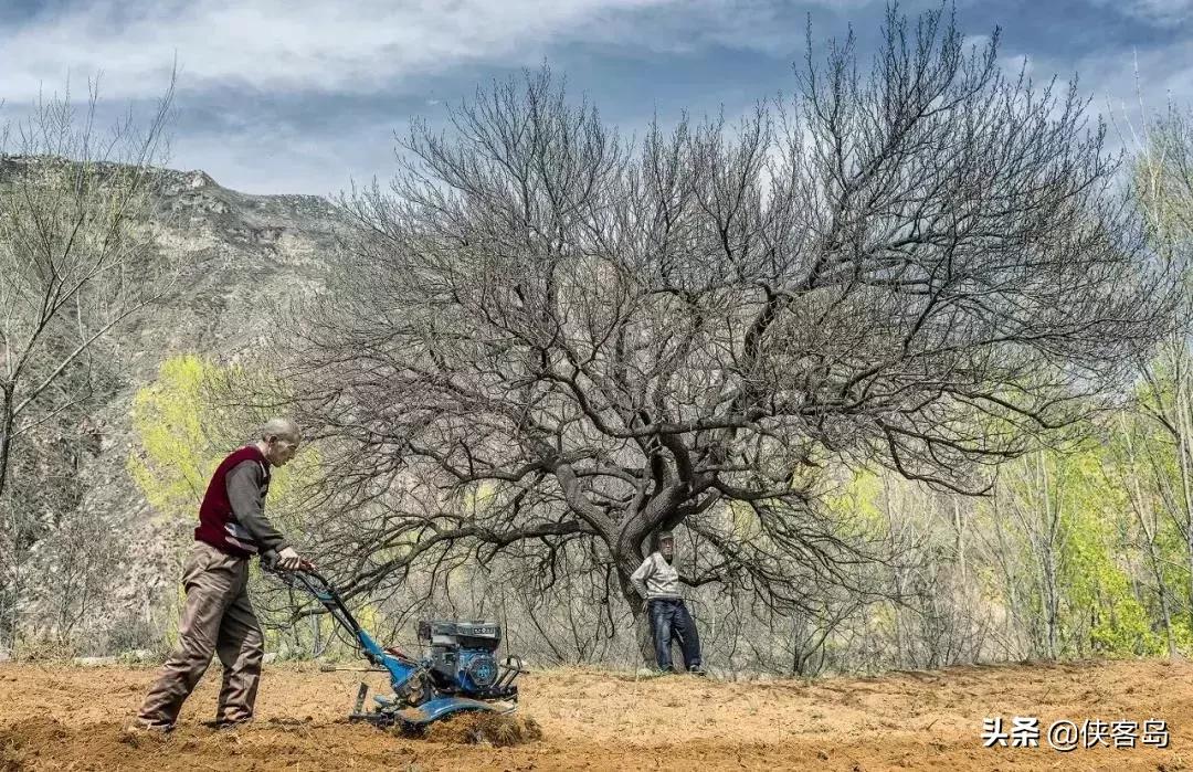 侠客岛：乡愁里的中国