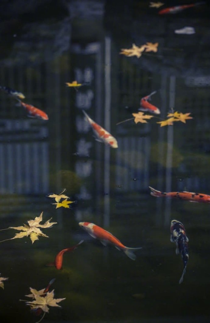 万壑千岩锁翠烟赏析,万壑千岩图片