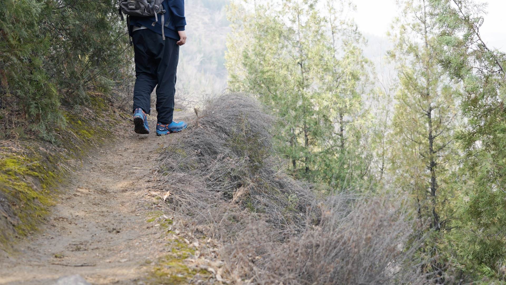 制定春游计划和路线图,制定春游计划