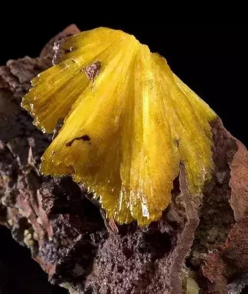 世界上令自己眸生情，见到后再也不爱别人的51个丽人