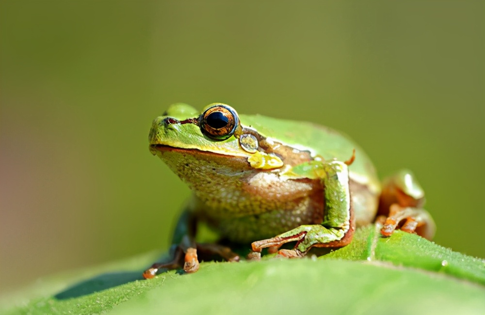 很冷很冷的冷知识一年级,27个让你脊背很冷的的猎奇冷知识