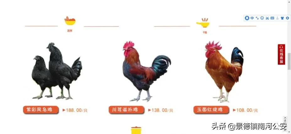 10元特价菜品,10元特价菜去哪里买