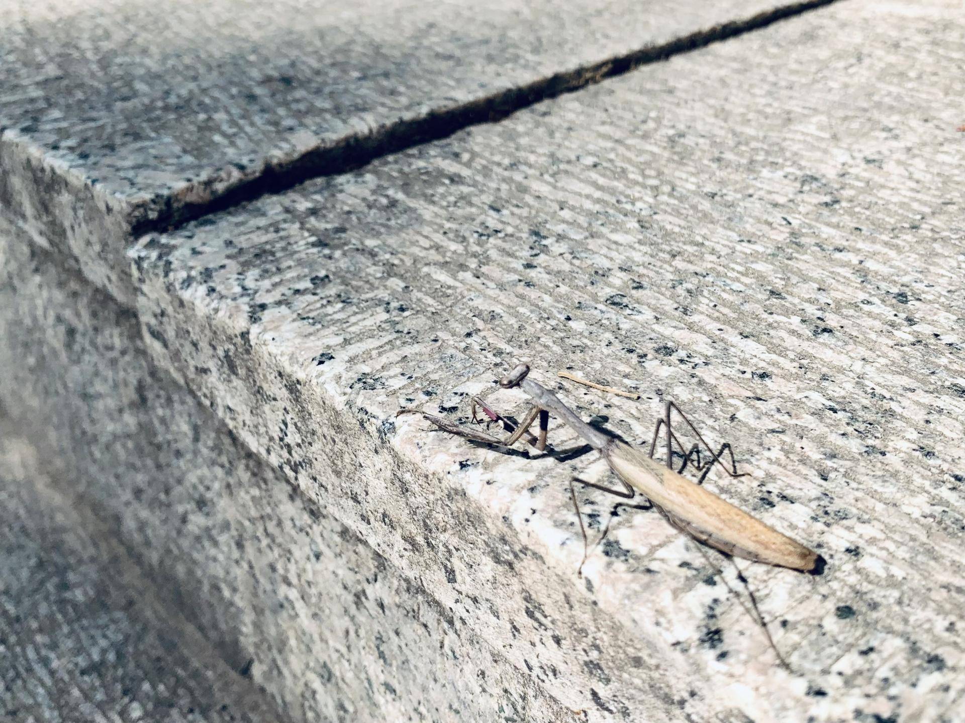 有山有水民宿原生态旅游,有山有水有云民宿名字