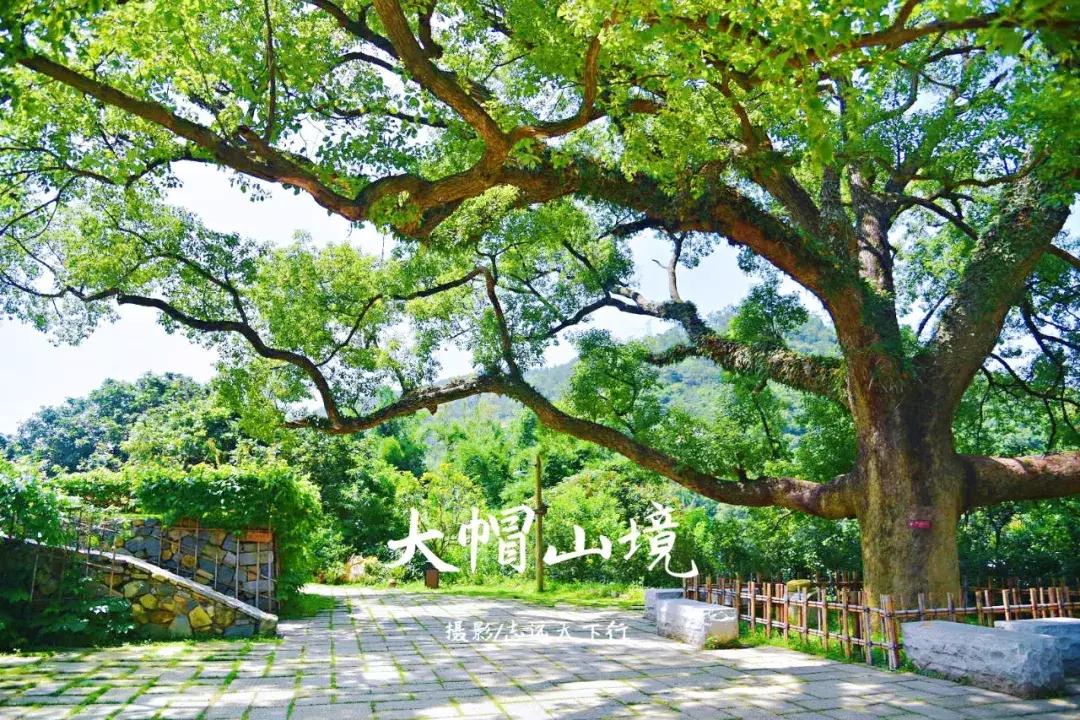 厦门那些你不知道的景点,厦门莫干山