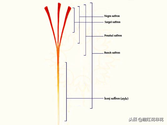 伊朗进口藏红花等级,伊朗藏红花等级划分标准