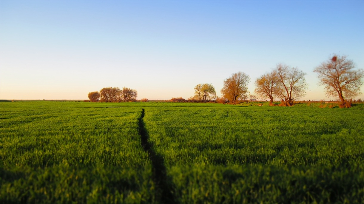 道德经里霸气男孩名字,小宝宝起名姓李男孩名字
