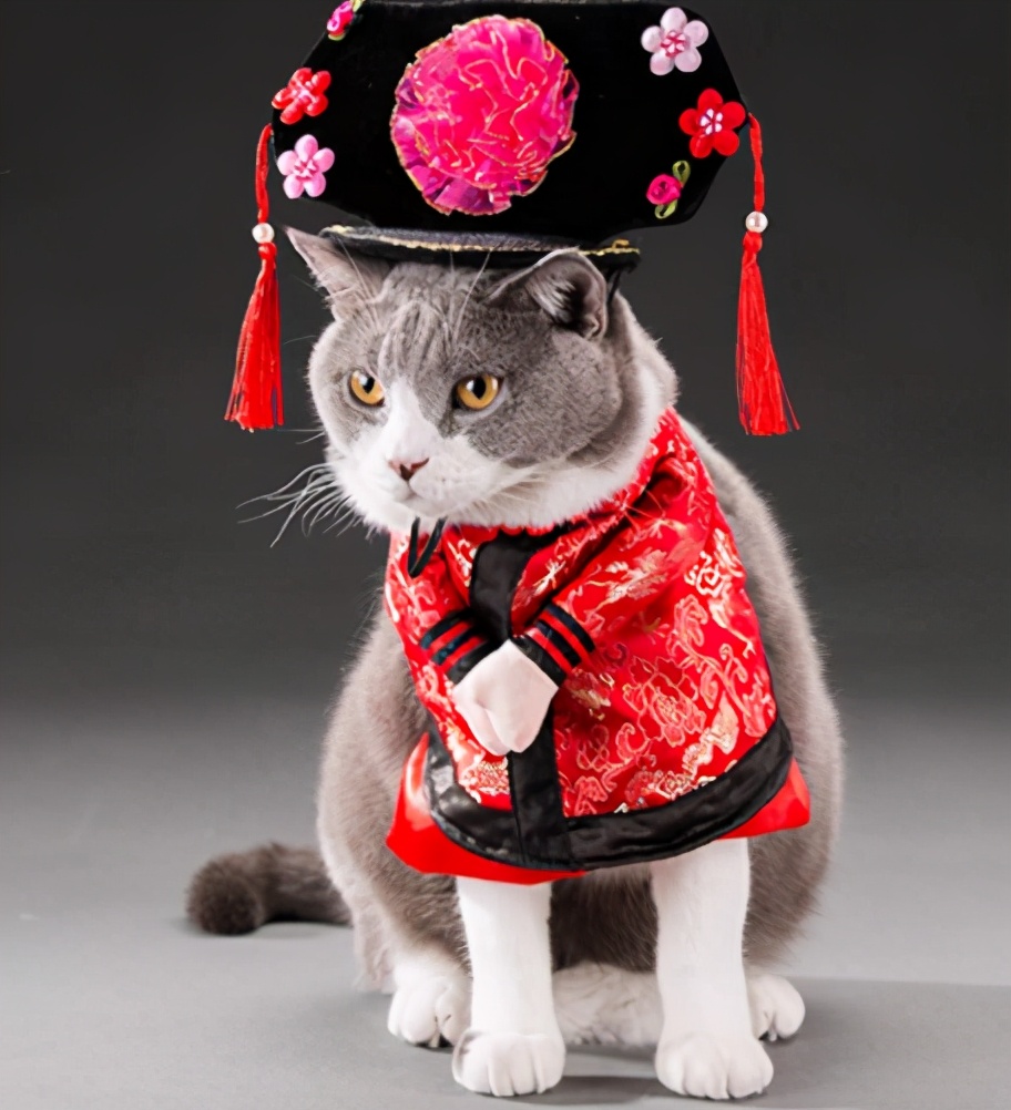 中国尿盆在美国高价热卖!放红酒当果盘,外国人这么好骗吗哈哈哈