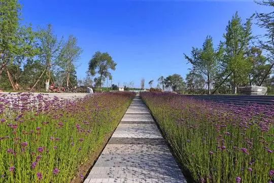 成都公园城市建设令人欣喜,成都打造世界级公园城市