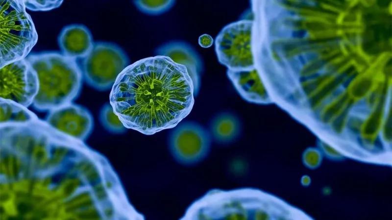 癌症的疼痛是不是和肚子痛一样,癌症疼痛和发烧疼痛