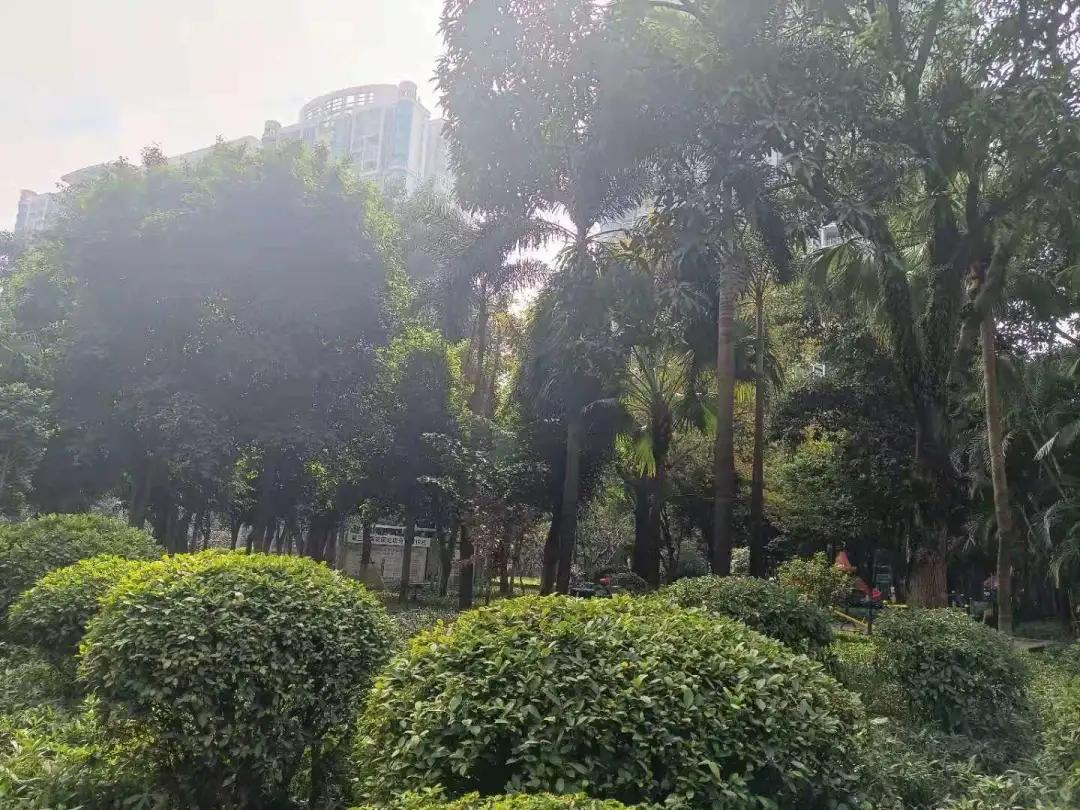 海珠楼市板块分析,20年楼龄