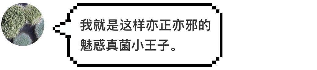 汉堡王又碰瓷麦当劳了,这次用的是发霉的汉堡