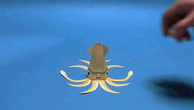 50宀佸ぇ鍙旂帺鎶樼焊,59宀佸ぇ鍙旂帺鎶樼焊