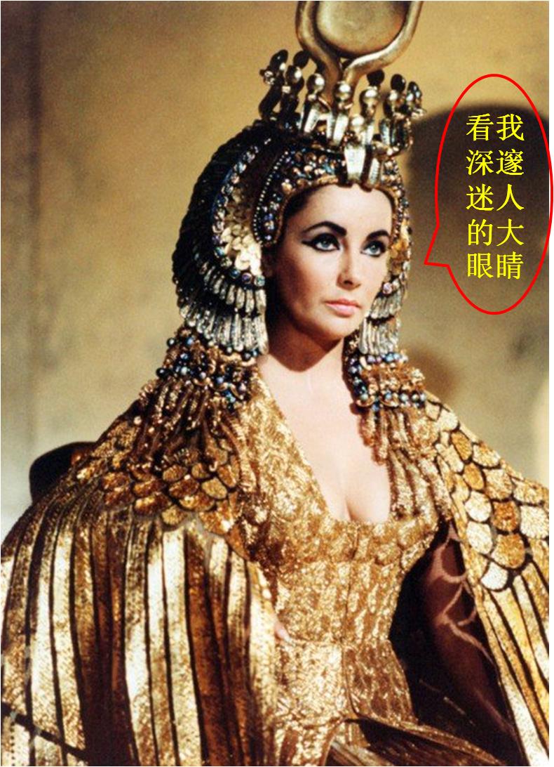 泰国一种动物，只吃不拉？其实，它的便便是美容上品……