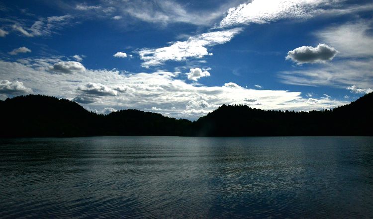 涔愯嚦鑽疯姳鎽勫奖浣滃搧娆ｈ祻,涔愯嚦鍗拌薄鎽勫奖