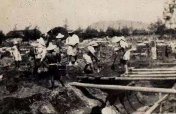 宜宾往事第一集,宜宾造纸