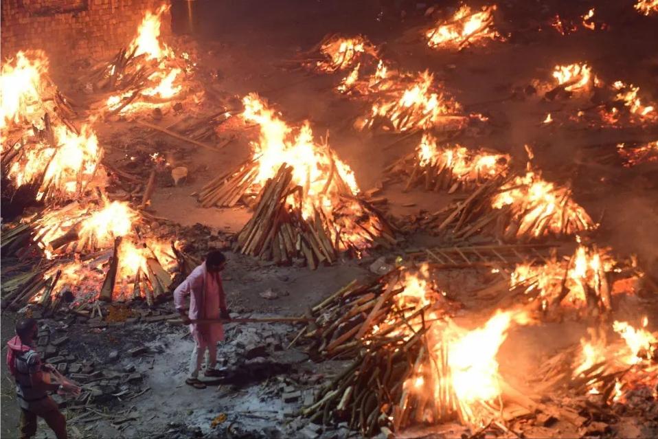 印度毒王最新信息,印度毒王视频