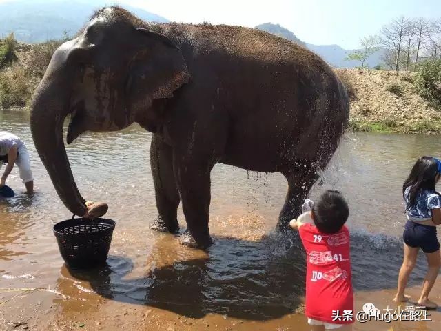 十位亲子旅行达人来告诉你,我们为什么要这样带孩子去旅行