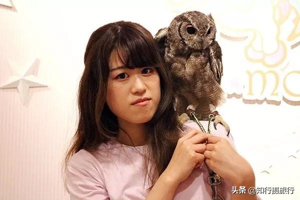 大阪小众景点,去大阪注意事项