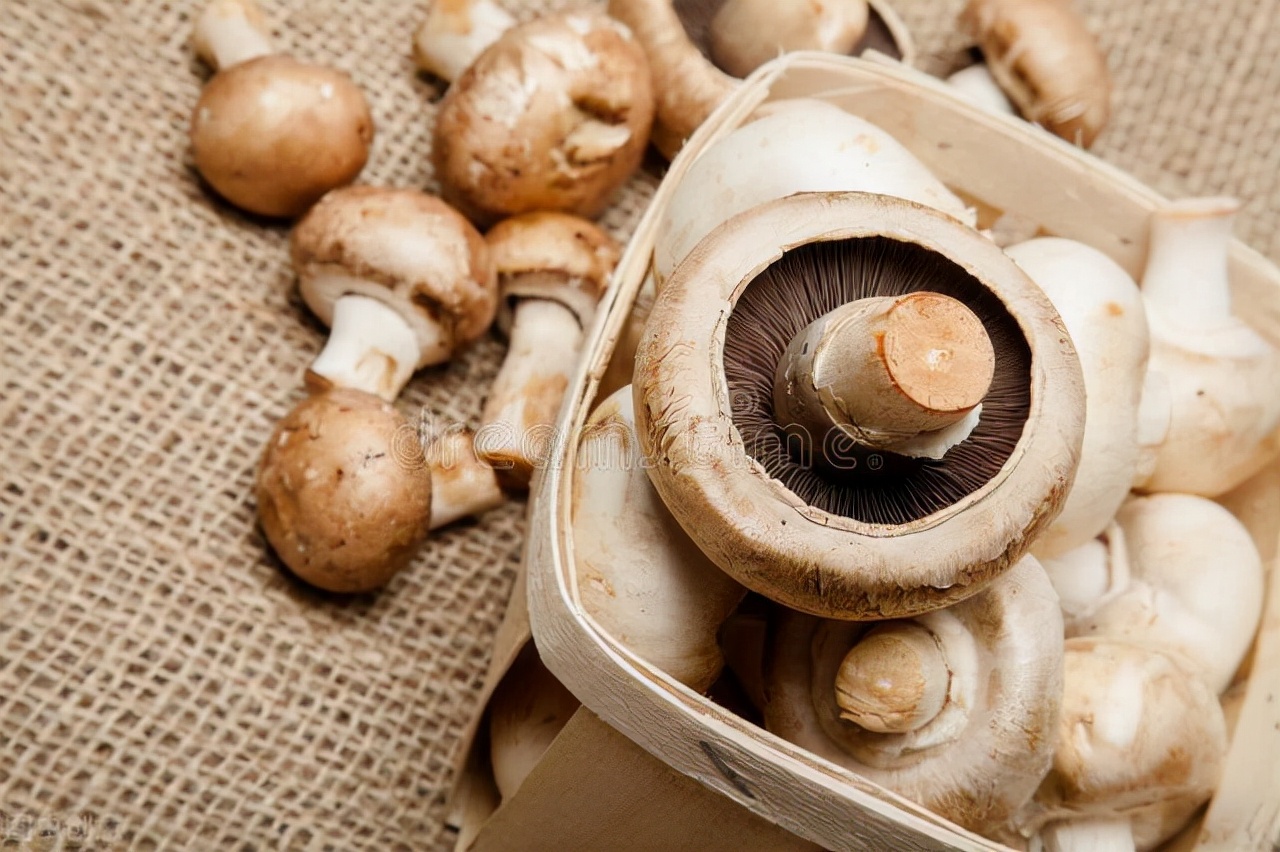 血清同型半胱氨酸测定增高怎么治,血浆同型半胱氨酸水平升高的症状