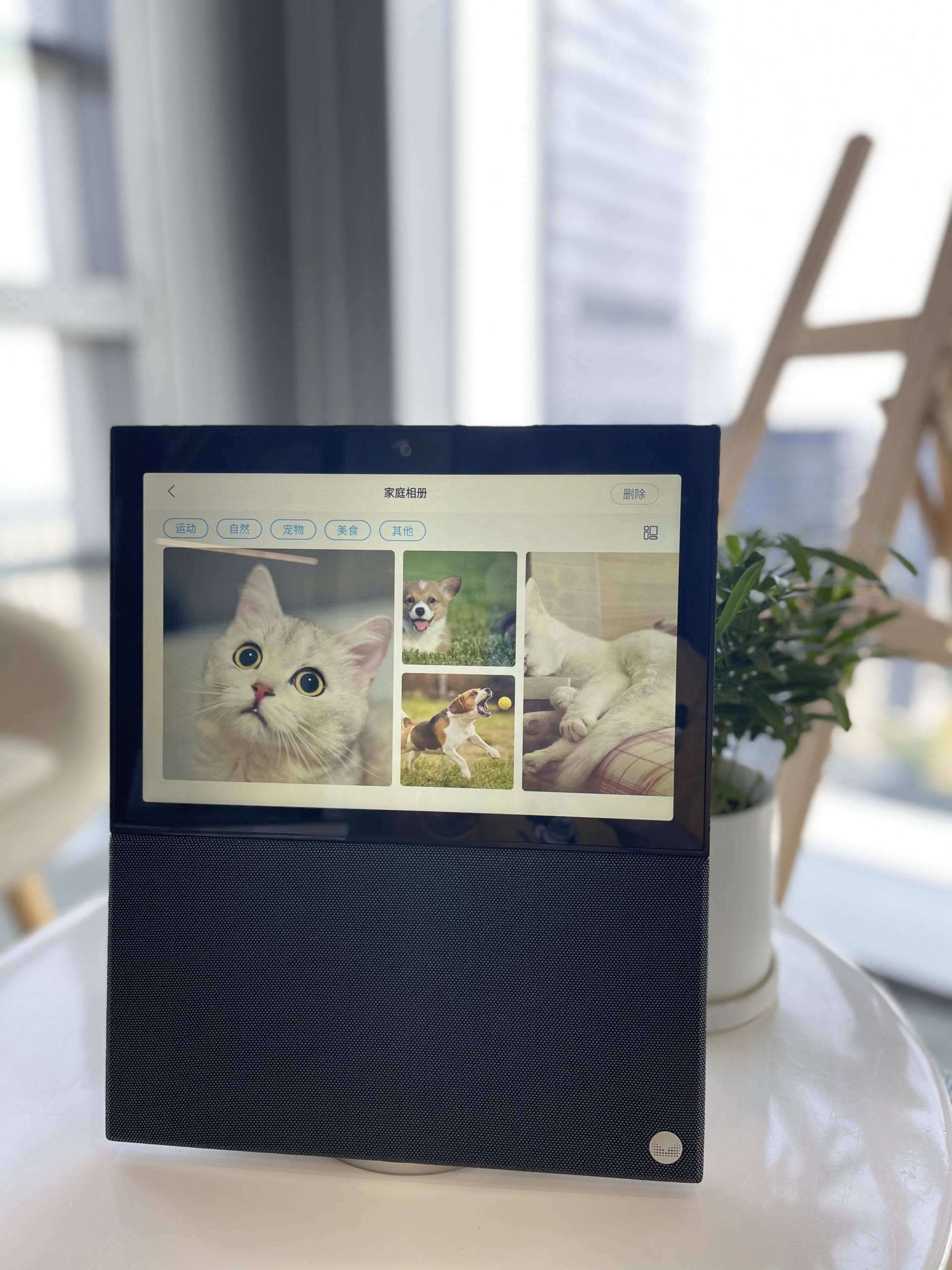 天猫精灵v10se和v10对比测评,天猫精灵v10se深度评测