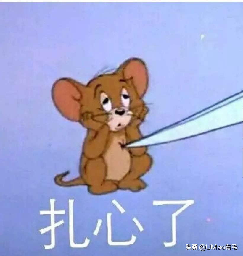 养猫就是抓老鼠吗,还有多少人养猫是为了抓老鼠的