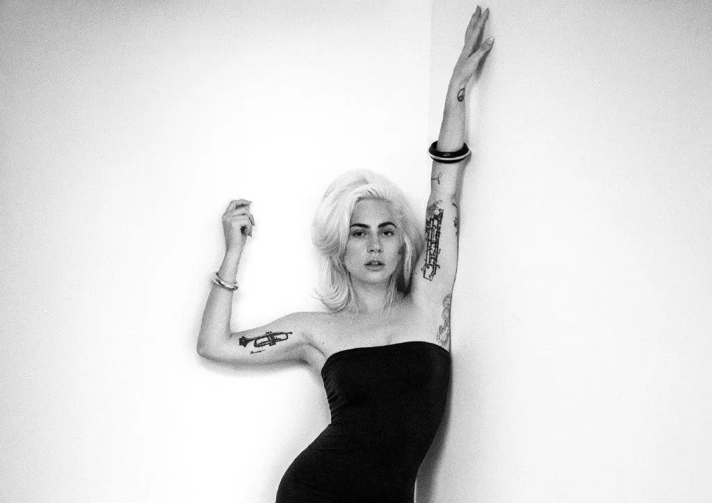 ladygaga承认自己是个平凡人,ladygaga一个明星的诞生发布会