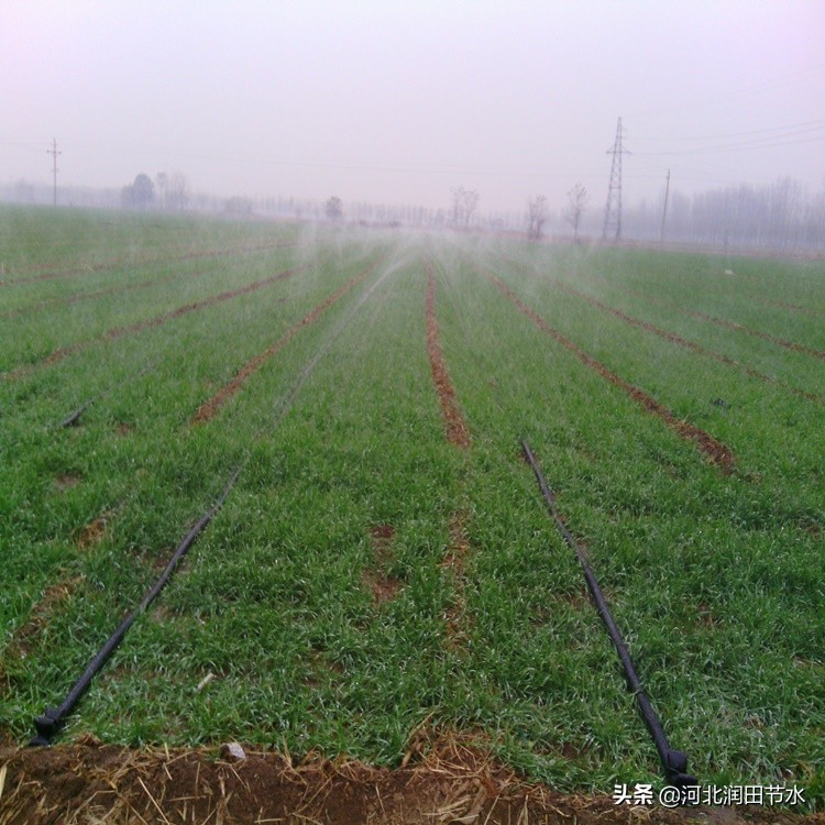 微喷带真的有必要用吗,微喷带用多厚的好