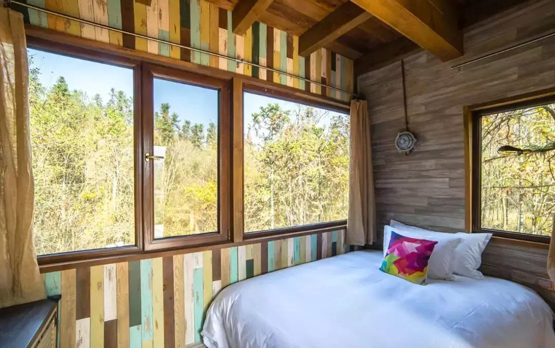 杭州1.5h就有不输清迈的丛林树屋