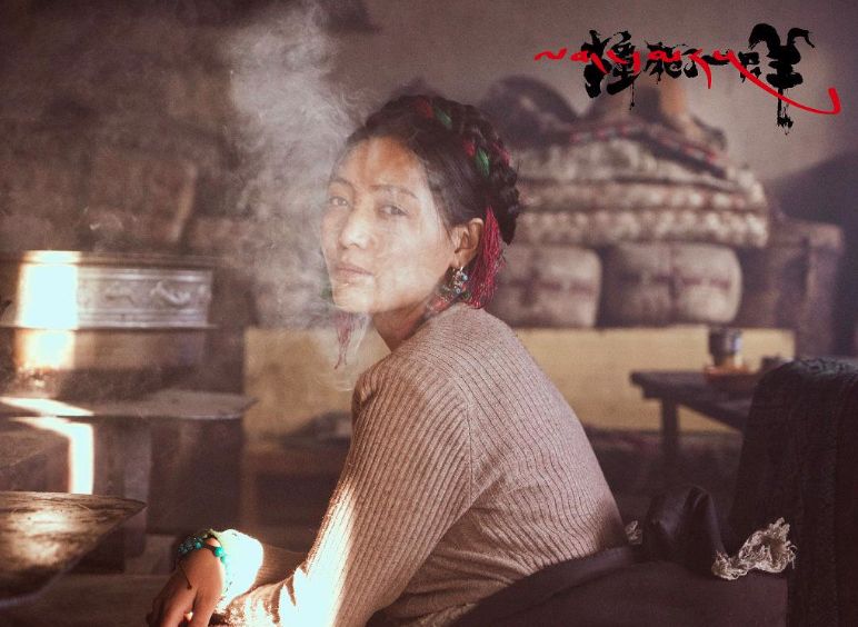 撞死了一只羊小说,撞死了一只羊电影