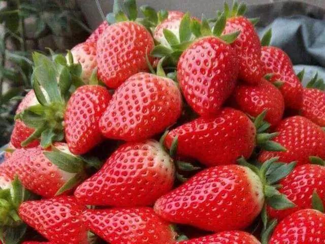 50多岁出去打工干些什么比较好,50岁打工干什么比较好