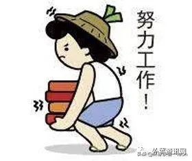 「外贸资讯」天上有时真会掉馅饼-埃及客户成单了