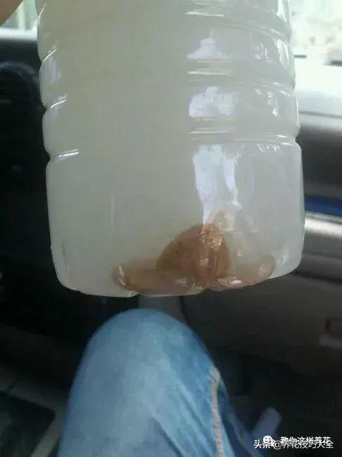 花土是碱性用什么肥,怎么知道花土是酸性还是碱性