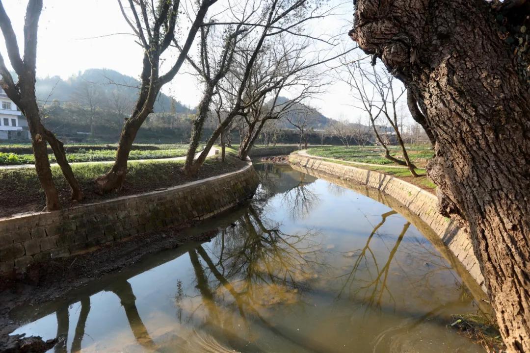 徽州篁墩,徽州篁墩篁岭