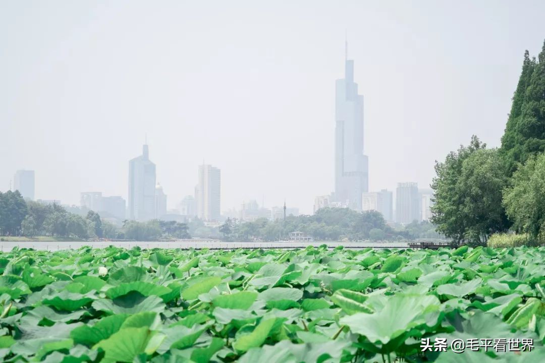 你眼中的南京是什么样子,你眼中的南京