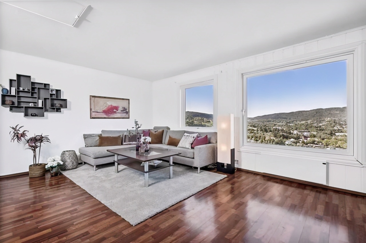 在挪威买房 (在挪威买一套房子)