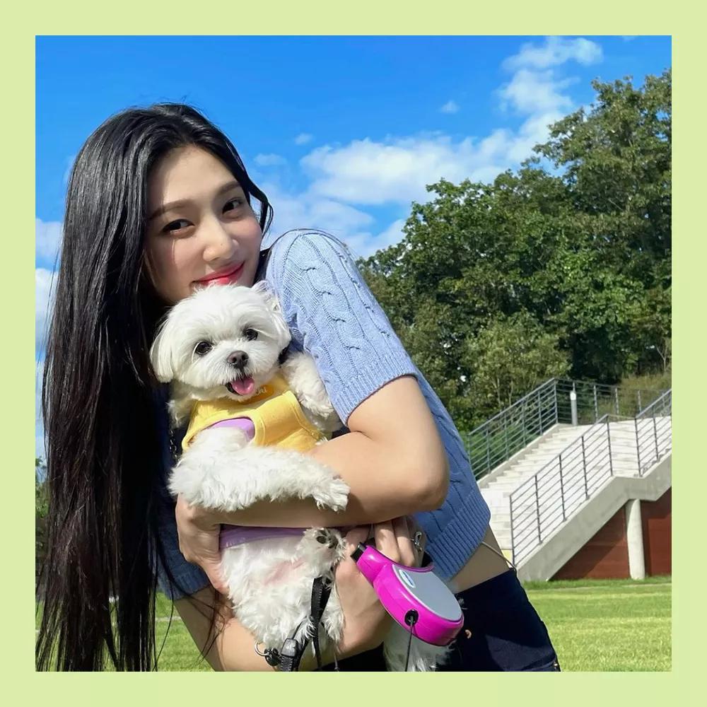 果汁美貌朴秀荣,果汁甜蜜朴秀荣