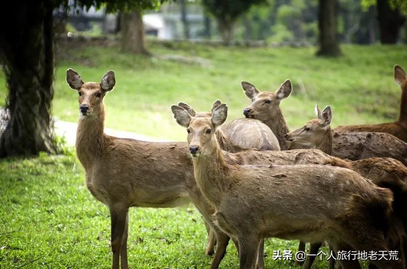 中国最适合自驾游的十条绝美公路,中国最顶级的自驾进藏公路