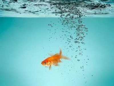 如果市场大跌该怎么办,如果市场低迷怎么做