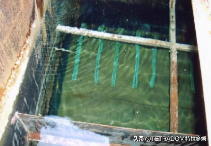 德国如家,德国特拉多姆简介